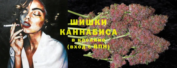 PSILOCYBIN Алексеевка
