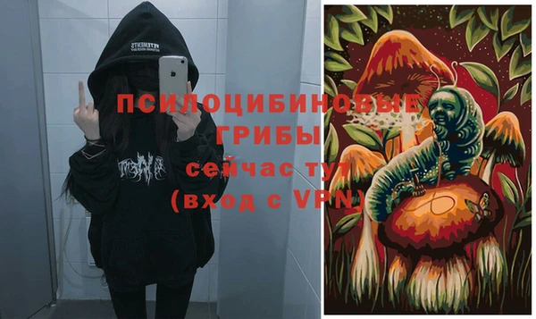 PSILOCYBIN Алексеевка