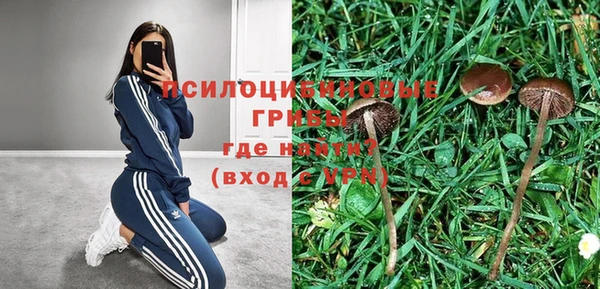 PSILOCYBIN Алексеевка
